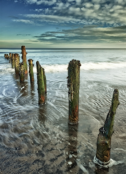 Picture of Solitude (Northern Spain)