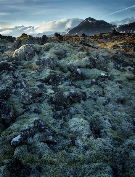 Picture of Lava Field, Iceland