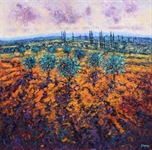 Picture of Provence, Olives